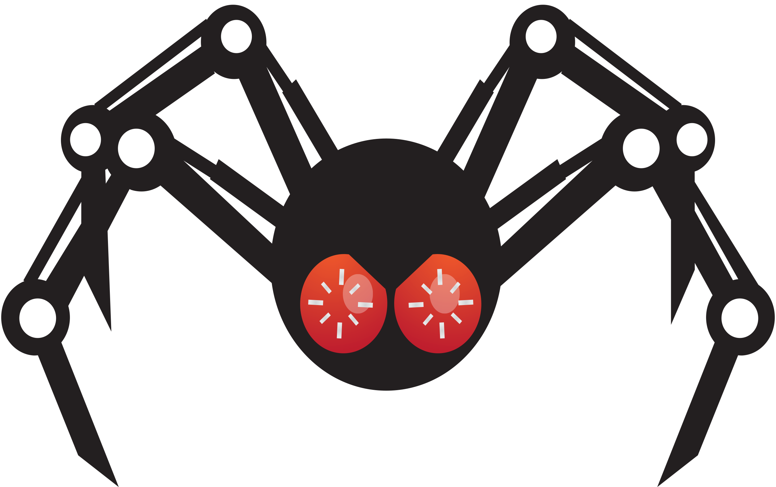 Spider